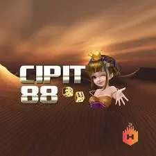 cipit88